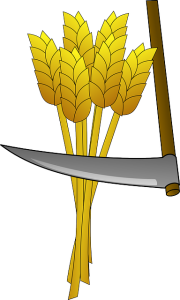 farmerska przygoda